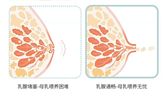 微信截图_20230726151347
