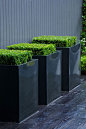 | LANDSCAPING | Photo Credit: #CharlotteRowe garden design adore linear forms #landscaping #planters