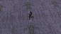 盾壁.gif