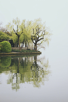 云蕾酱采集到背景