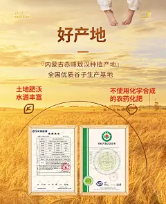 秋田满满黄小米新米东北有机五谷杂粮米粥,送宝宝婴幼儿辅食食谱-tmall.com天猫