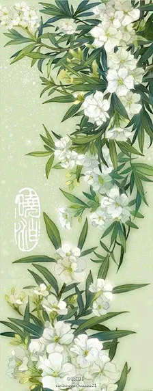 晓泊 插画 古风？ 夹竹桃 植物