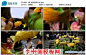 中国民间传统习俗特色活动舞花灯 舞灯笼 高清实拍视频素材