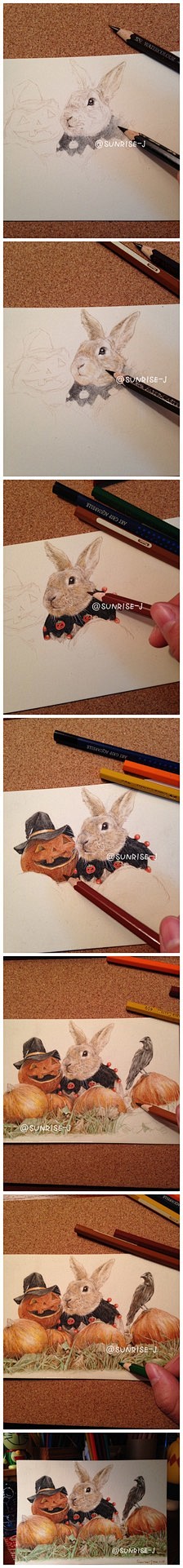 兔子 彩铅 手绘