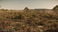 Star Citizen - Vegetation - Planet Hurston, Özlem Sagbili : I was mainly responsible for creating vegetation and procedural object distribution for Star Citizen over the last 2 years. 
The assets can be found on one of our planets called "Hurston&