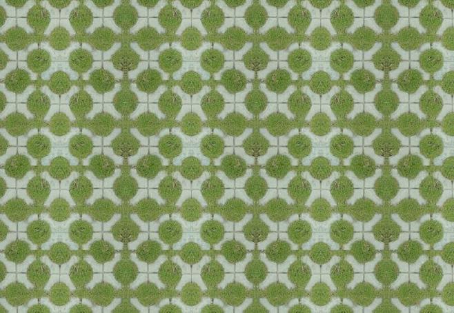 圆形植草砖贴图