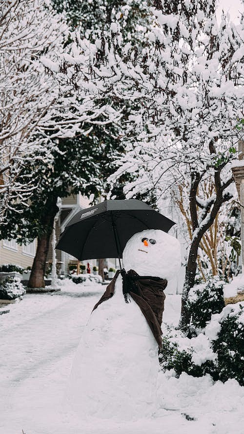 免费 下雪天, 下雪的, 假日 的 免费...