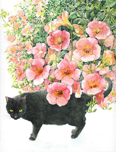 猫咪与花_Heeyoung Kim