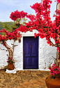 蓝色的门，希腊群岛
blue doors, greece and islands.