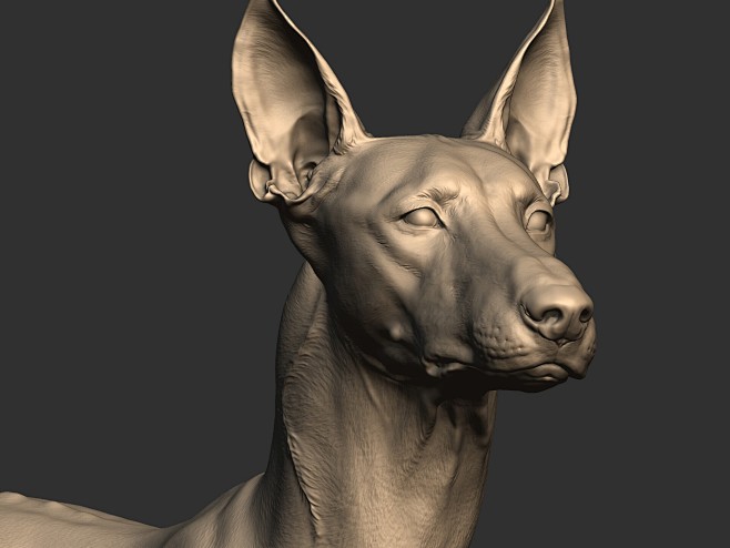 Pharaoh Dogo