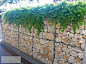 24 best Gabion Gardens images on