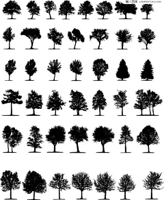 zngwngtng采集到LANDSCAPE—植物品种