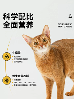 素馒头-Hang采集到宠物排版