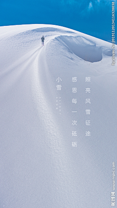 杀死一只反舌鸟采集到节日