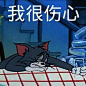 猫和老鼠系列【第四期】 ​​​​