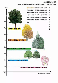 瘦骨不禁秋采集到@植物、绿化