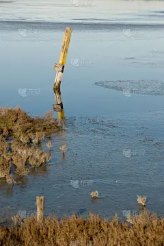 邮件,寂寞,非请莫入,请回避记号,系船柱,垂直画幅,水,无人,古老的,野外动物