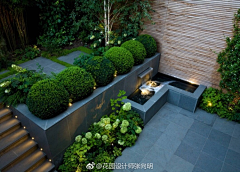 写诗的蜗牛采集到庭院