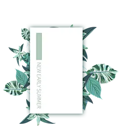 枝蔓装饰 手绘树叶png 绿色装饰素材 植物 明信片