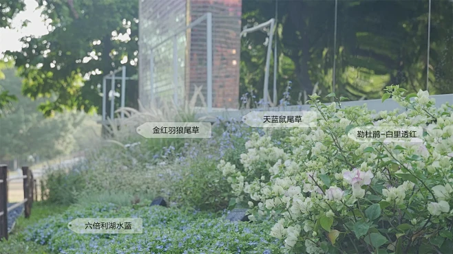 可移动的城市激活器：铺拉格花园 / SE...