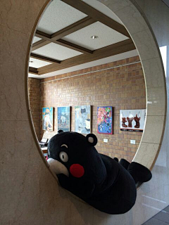 wyyyyyw采集到kumamon