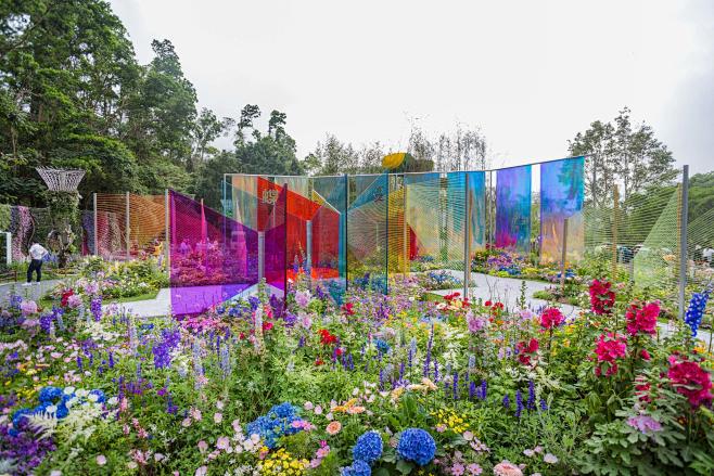 全景VR带你看花展