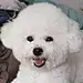 多多多玛尼
