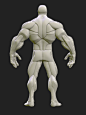 Stylized Hero *Anatomy Blockout