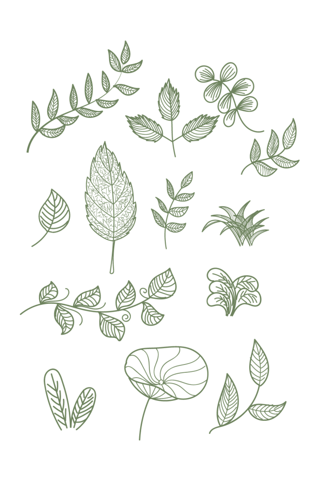 手绘叶子植物线稿装饰图案