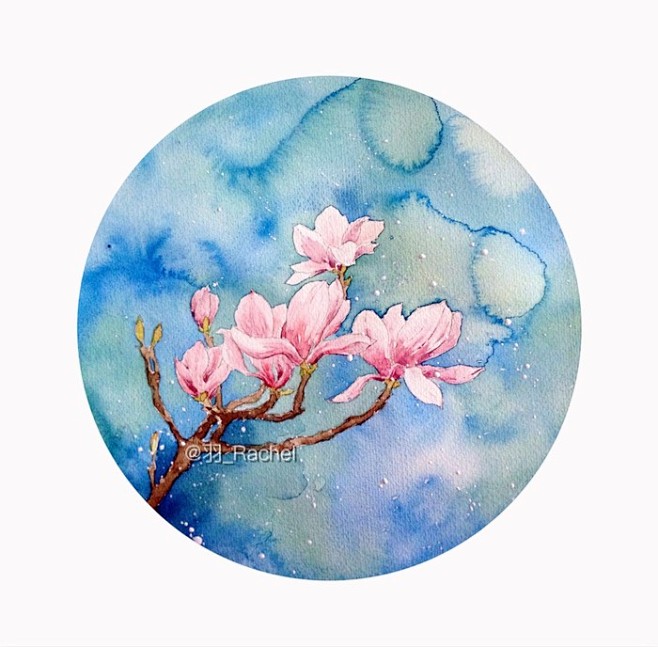 四季印象之花卉玉兰