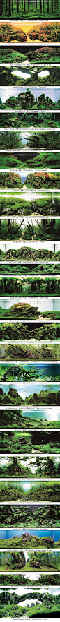 The International Aquatic Plants Layout Contest 2011：世界水草景观设计比赛始于2001年，由日本Aquarium公司主办，这些参赛作品都极具幻想色彩，犹如动画般的场景。作者们神秘的心中世界全都通过石组、草木的构成展现在了这些小小的鱼缸里，亦幻亦真。壮哉~这是11年获奖作品