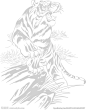老虎