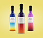 Miami wines : The concept of fruit wine packaging inspired by Miami sky.