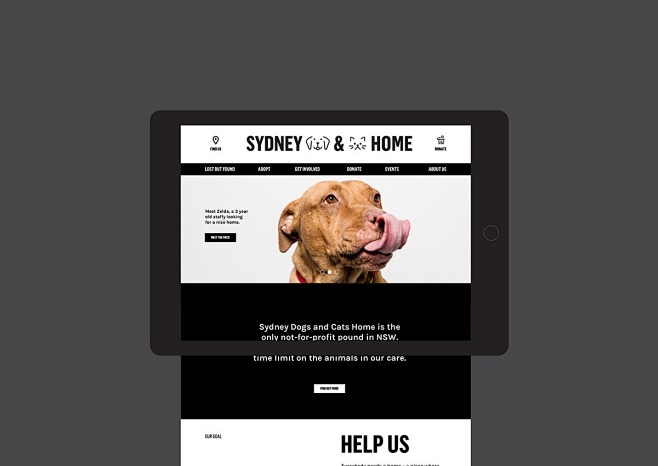 Sydney Dogs & Cats H...