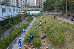 H-种植设计采集到城市街景