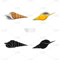 分离着色,动物,品牌名称,一个物体,鸡尾酒,自然,螺线,海产,装饰,收集