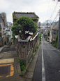Beautiful. Photo by Masaki Tokutomi