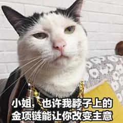 猫咪撩妹表情包：你是我见过女孩子中最美又最可爱的一个_物欲横流 : 总跟我聊天，聊出感情你负责吗 要是爱情像数学一样简单就好了 你头上有顶和你眼睛颜色一样的帽子 快点与我进洞房 在这物欲横流的社会，人心冷漠无情 今天我就要在知识的海洋里…