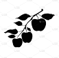 苹果树枝的黑色剪影。