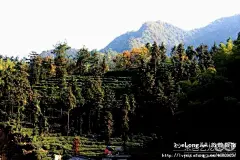 张家界 家乡的山野风光（1）：三河口之秋, 心中有伟大祖国旅游攻略