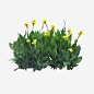 绿色植物png免抠素材_新图网 https://ixintu.com 绿色植物 园林 花草 绿叶 花丛 绿化装饰