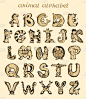 字母,动物,分离着色,可爱的,自然,动物园,单词,野生动物,信函,图像