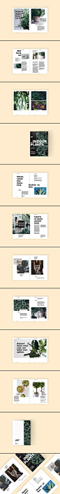高端轻奢时尚杂志画册手册楼书设计模板_变色鱼（www.58cgg.com）- 海外优秀设计素材分享平台！