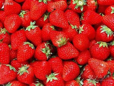 浙江温州瑞安草莓采摘园-新鲜奶油草莓图片...