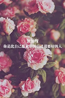 文字壁纸 正能量 励志