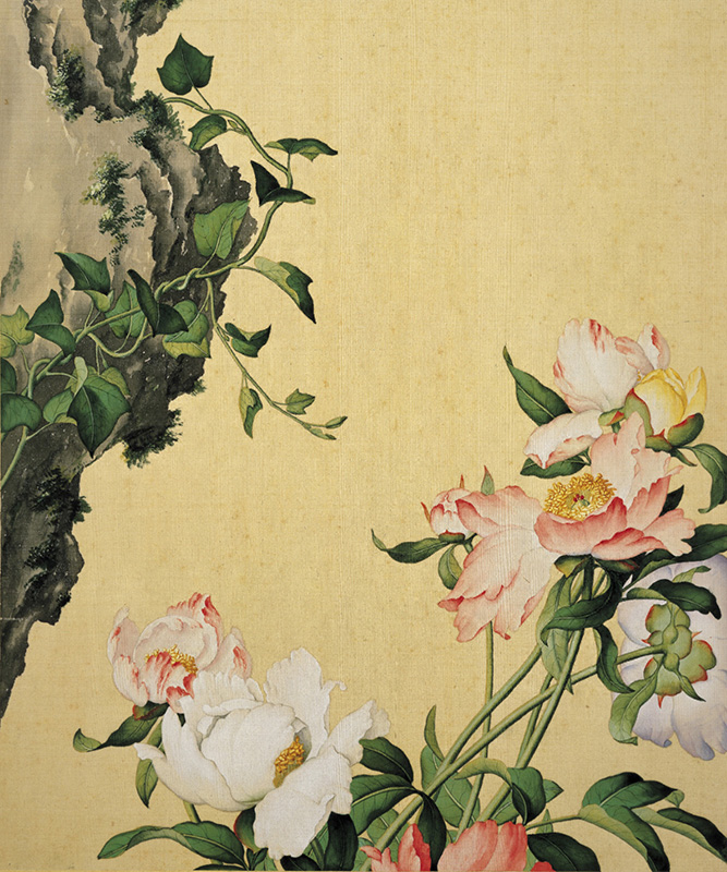 清郎世宁仙萼长春图册——芍藥