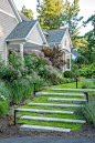 Hoffman Residence traditional-garden