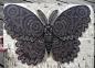 Moth: A New Woodcut Print from Tugboat Printshop wood prints wood posters and prints moths illustration butterflies 