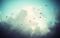 唯美简约风景图片桌面壁纸