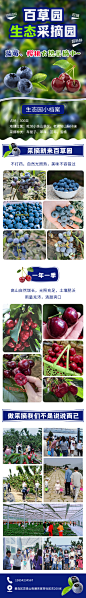 落地页；H5；餐饮；水果